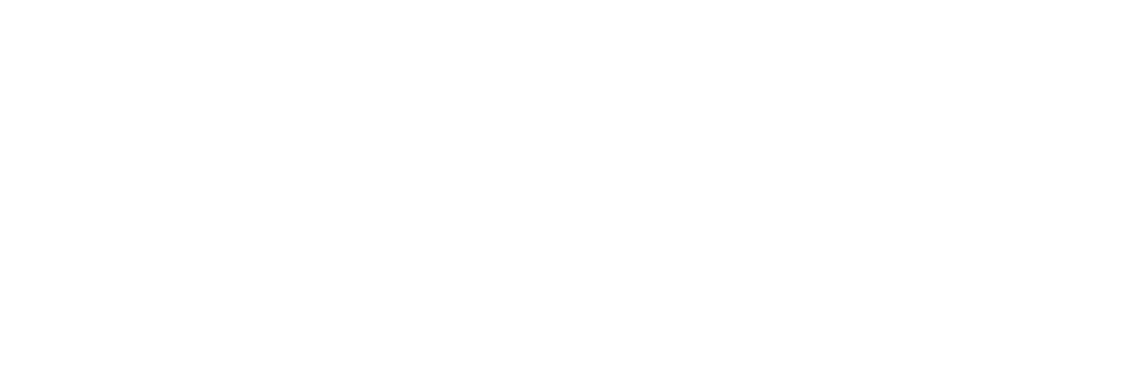 The google logo